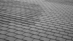 slate shingles, roof type