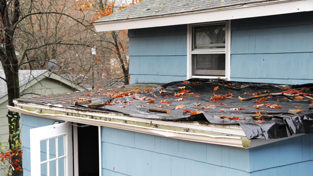 what are the signs of roof storm damage