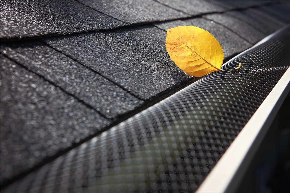 Why You Should Install Gutter Guards in Michigan